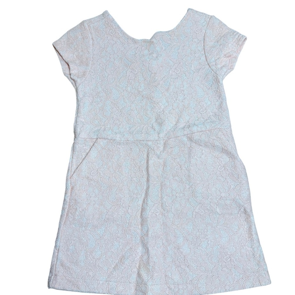 Zara Girls Blush Pink Lace Short Sleeve Dress Size 4–5Y